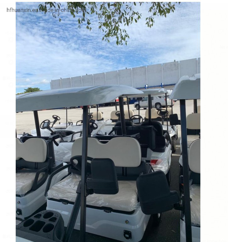 Used Golf Cart High Quality with 2 Seats