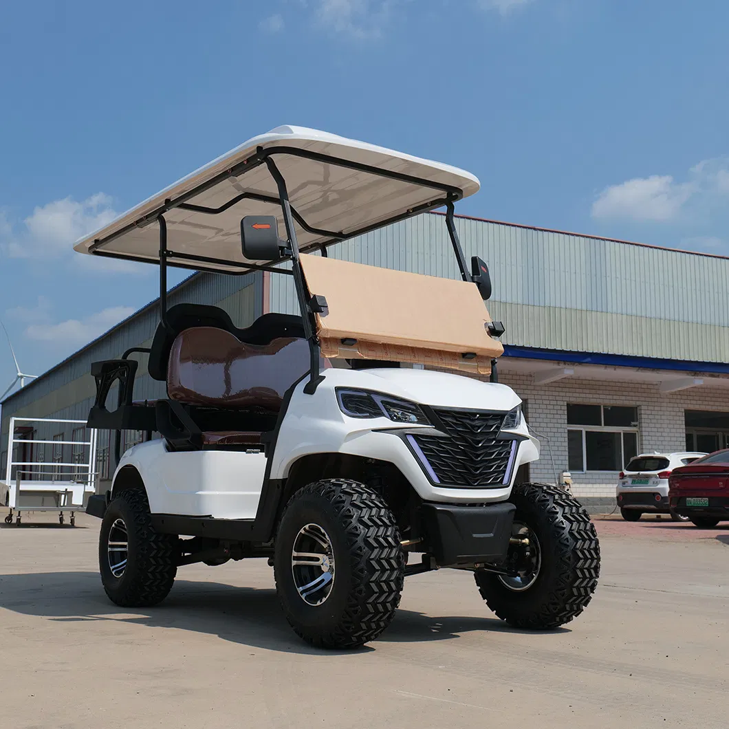 Custom Electric Golf Scooter Adjustable Two-Seater Modern Golf Cart