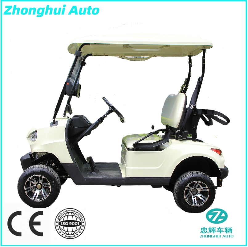 Custom Features and Driving Range Powerful Gasoline Golf Cart