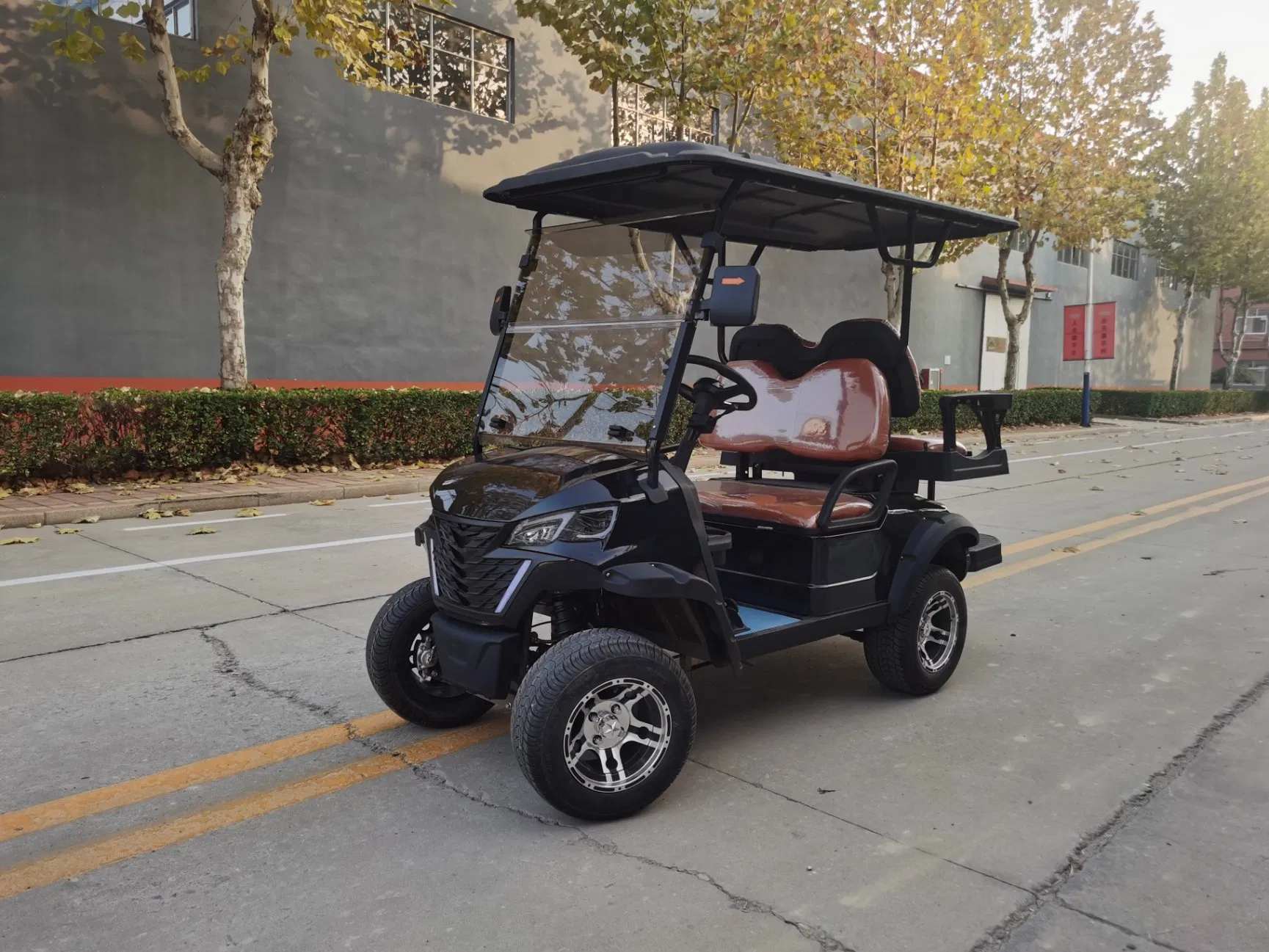 Mini Electric Vehicle Factory Cheap Price 60V 72V5kw AC System Mini Electric Golf Carts Golf Car New Energy Electric Mini Cart