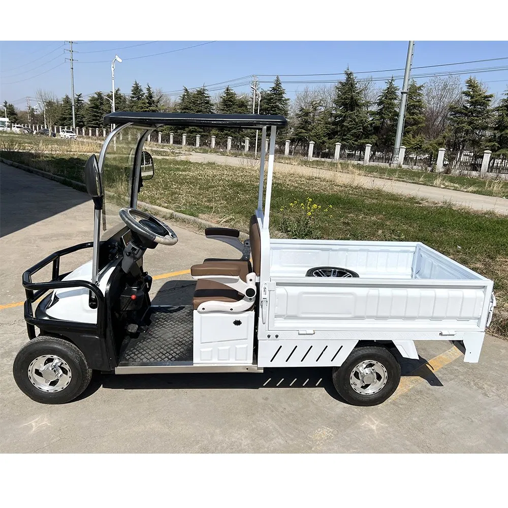 Senka South African Market 4 Wheels 1500W Motor Farm Use off Road Electric Golf Buggies Golf Cart with Cargo Box