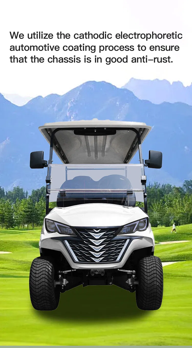 Golf Cart Features