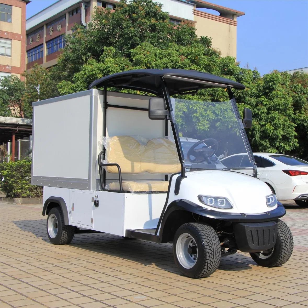 Electric Utility Cart with Fixed Cargo Box 2-Seater Golf Cart with Freight Cargo Electric Work Vehicle