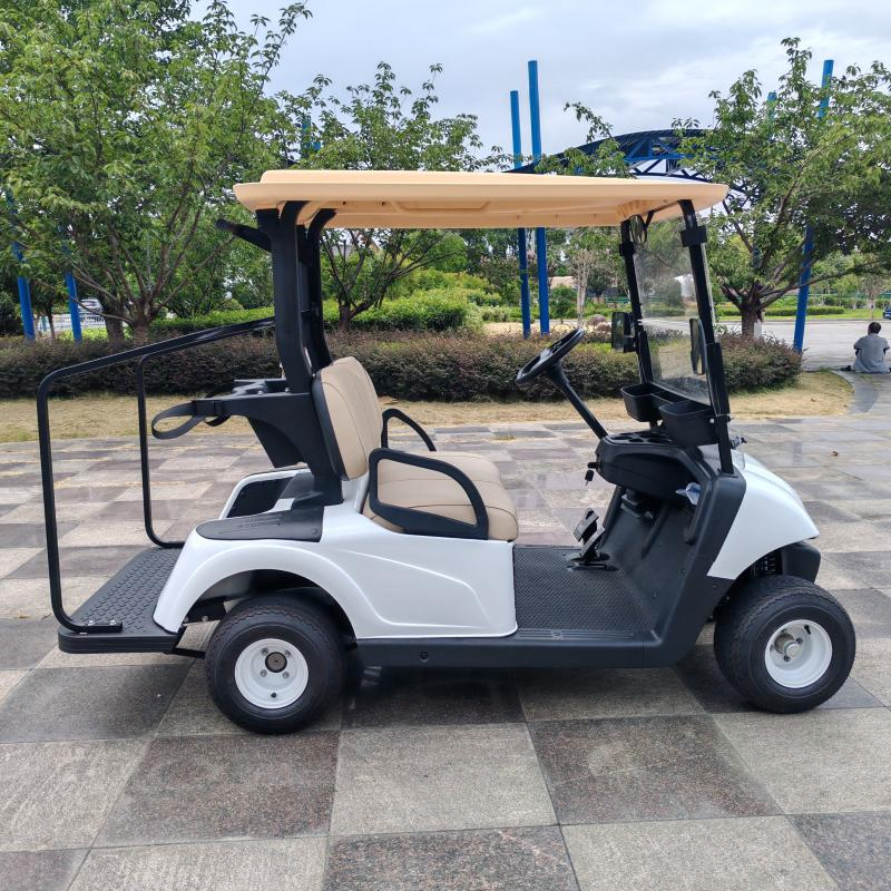 Engine Electric Golf Cart with 2 Seater Capacity Lithium Battery Golf Course Mobile Vehicle