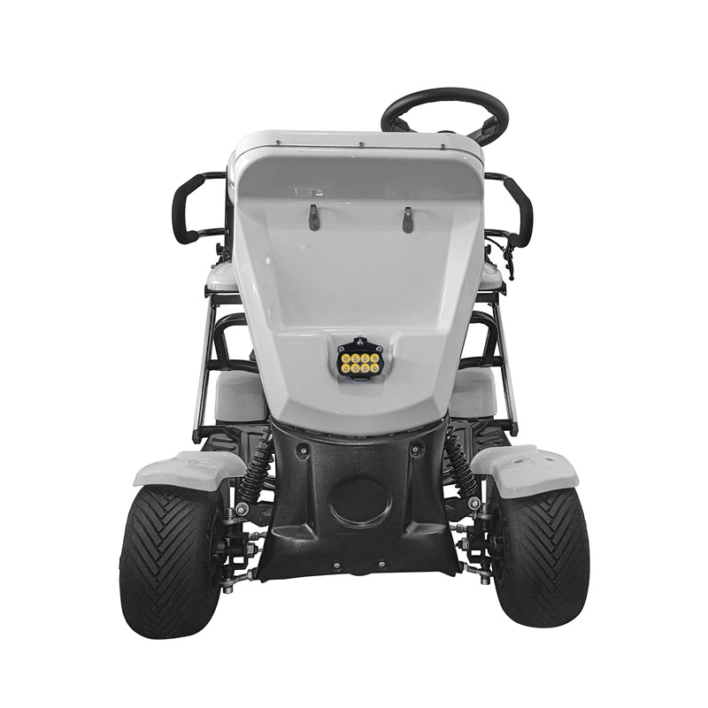 2 Seater Foldable 4 Wheel Golf Skateboard Scooter Golf Electric Scooter Golf Cart