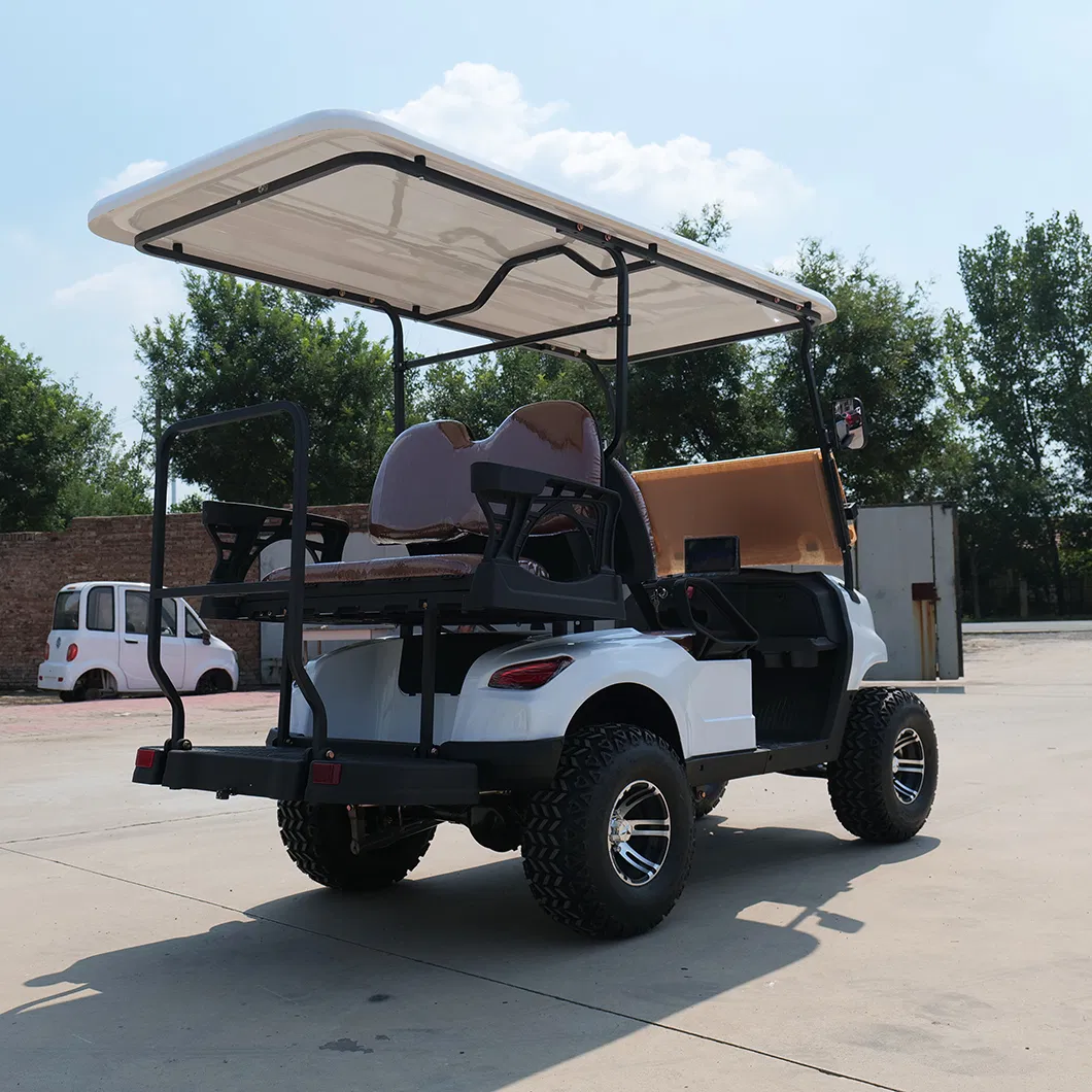 Custom Electric Golf Scooter Adjustable Two-Seater Modern Golf Cart