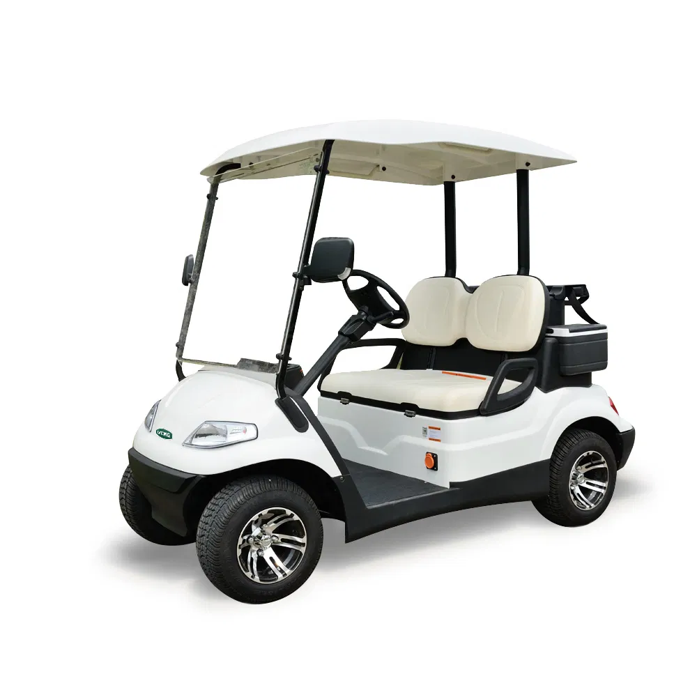Electric Golf Cart Front
