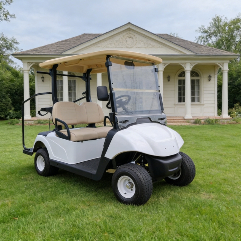 Stylish Two-Passenger Golf Cart From Maker for Luxury Hotel Shuttles