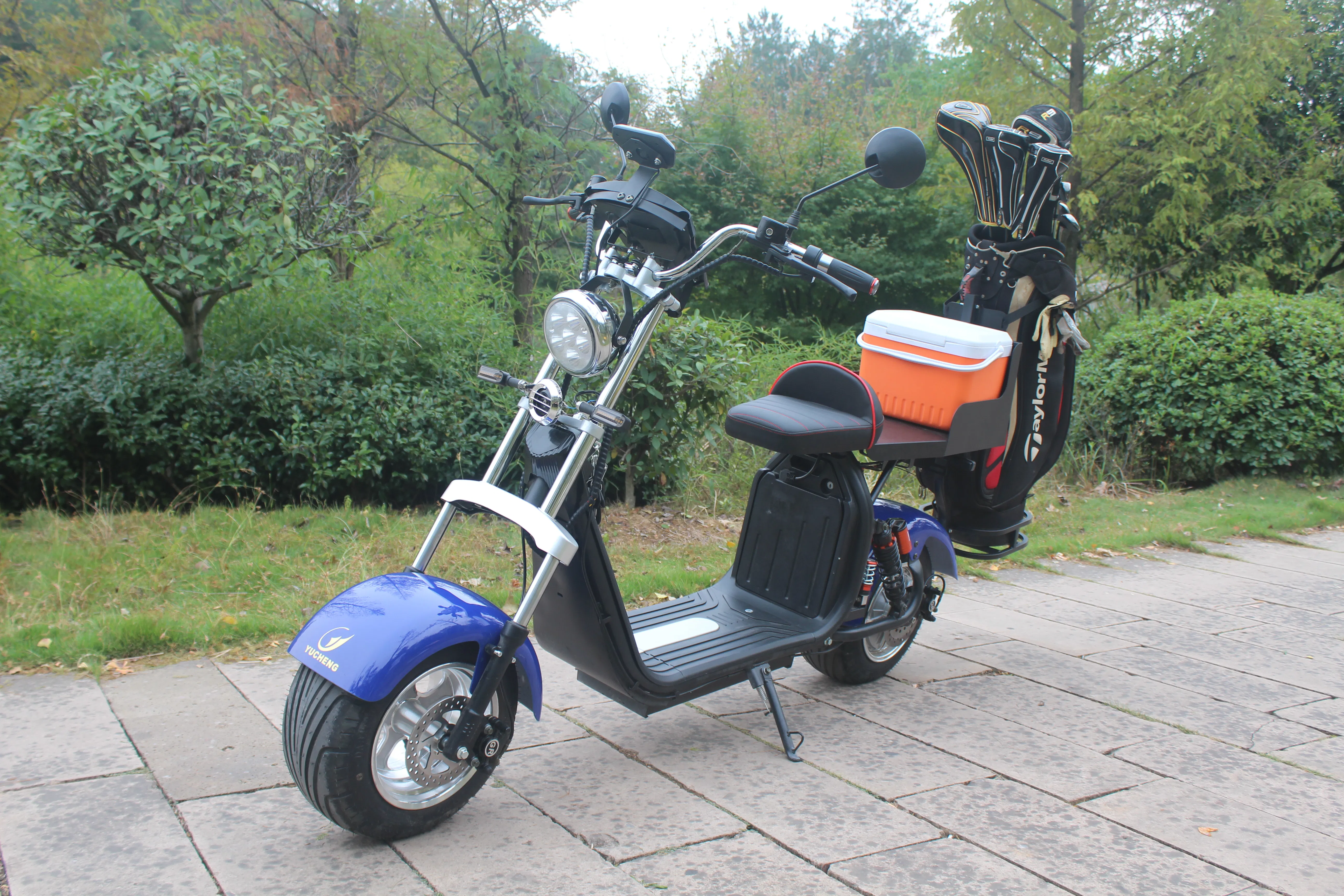 Folding Electric Golf Cart Front Rear Brake