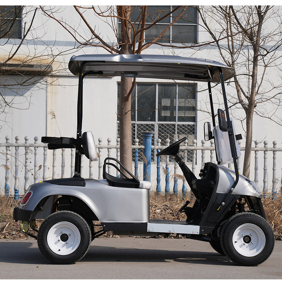 Good Price 6 Seat Electric Golf Cart with 6 Seats and Stable Golf Carts Gas Powered