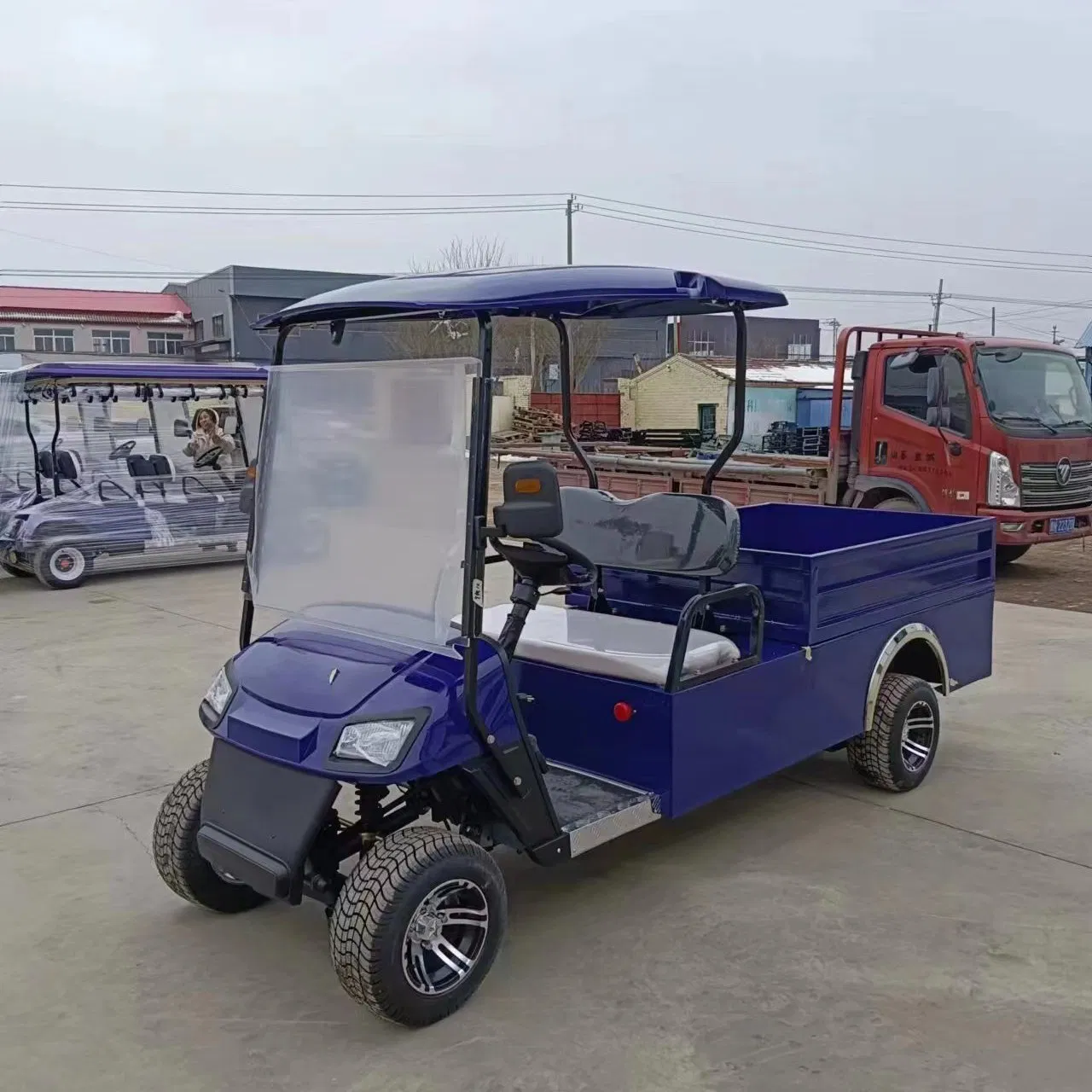 Passenger Utility Golf Cart with Aluminium Cargo Box