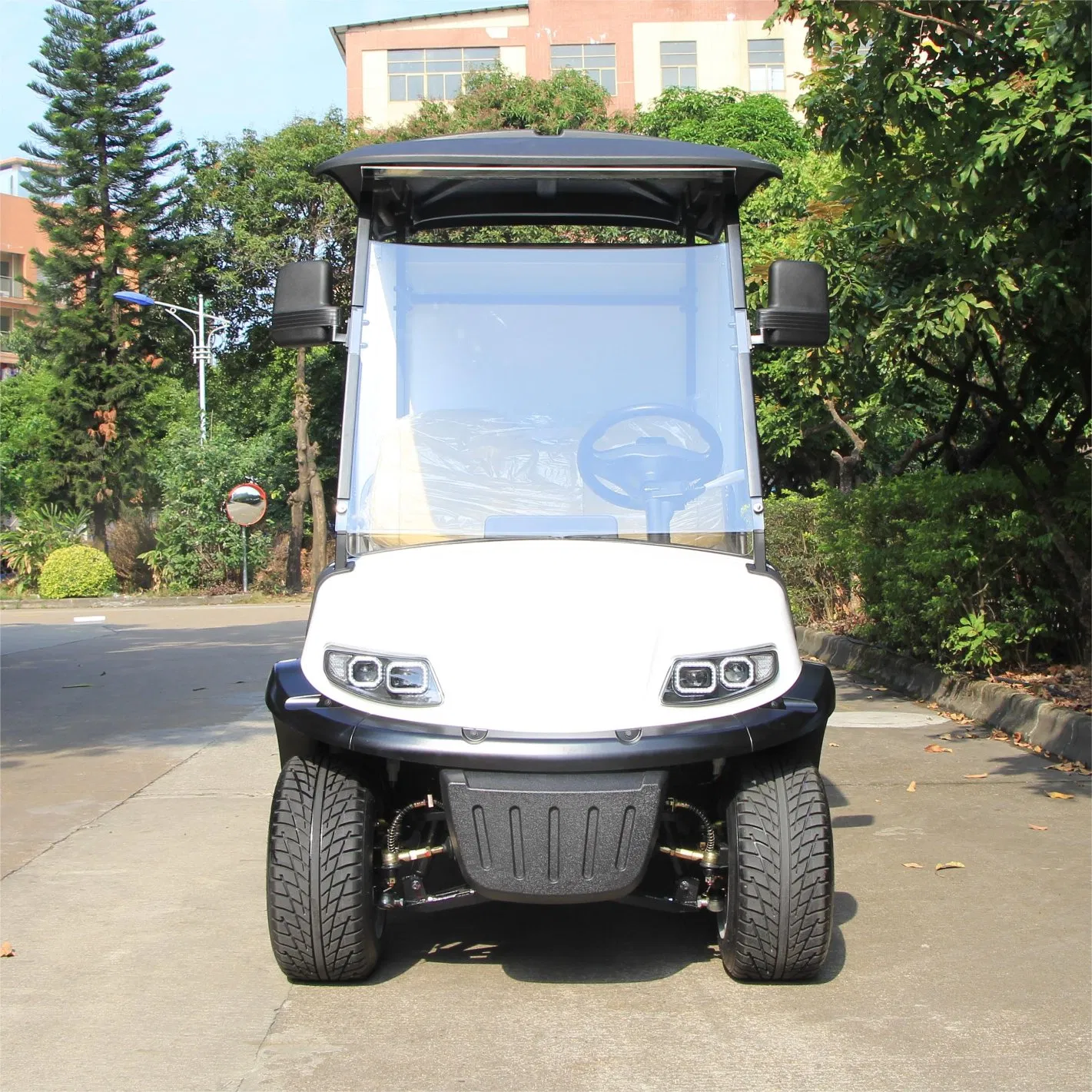 Electric Utility Cart with Fixed Cargo Box 2-Seater Golf Cart with Freight Cargo Electric Work Vehicle