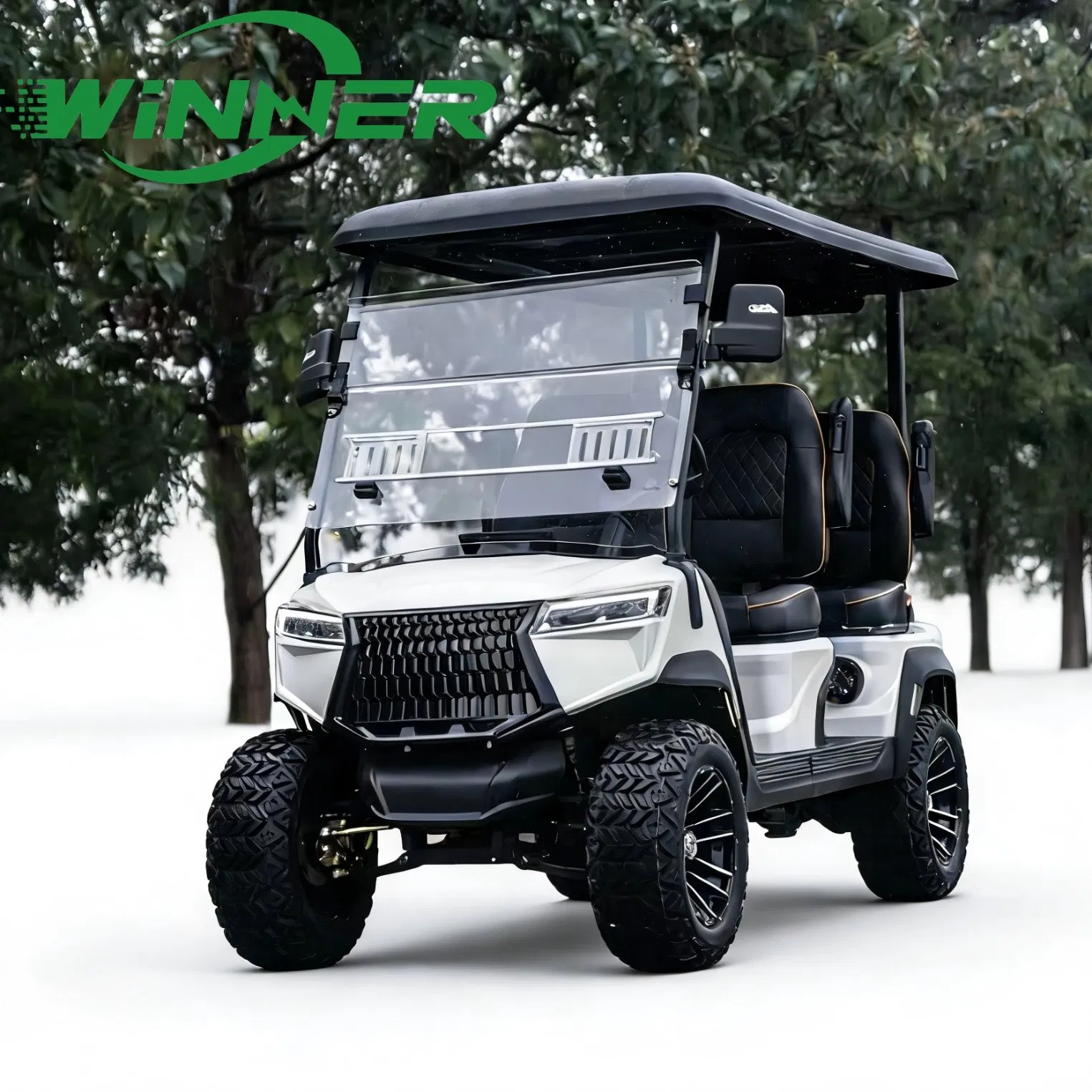 High-End Luxury Performance Electric Golf Cart with Adjustable Comfort Seat