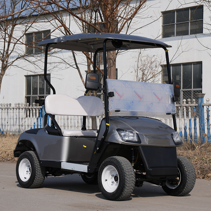 Good Price 6 Seat Electric Golf Cart with 6 Seats and Stable Golf Carts Gas Powered