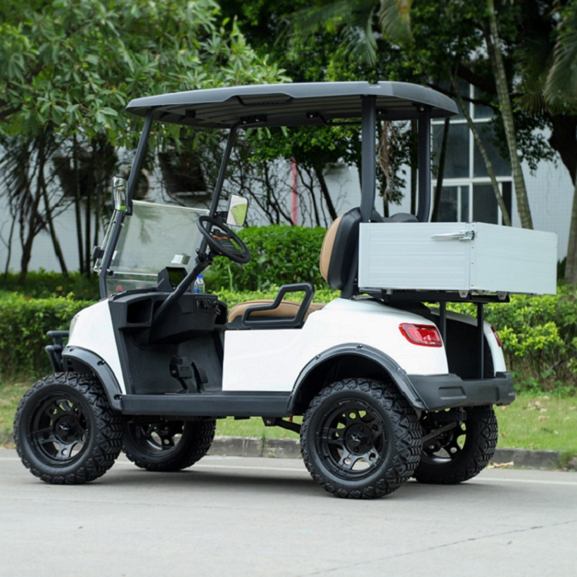 30 Km/H Buggy/Golf Carts Marshell Container CE Gas Golf Cart