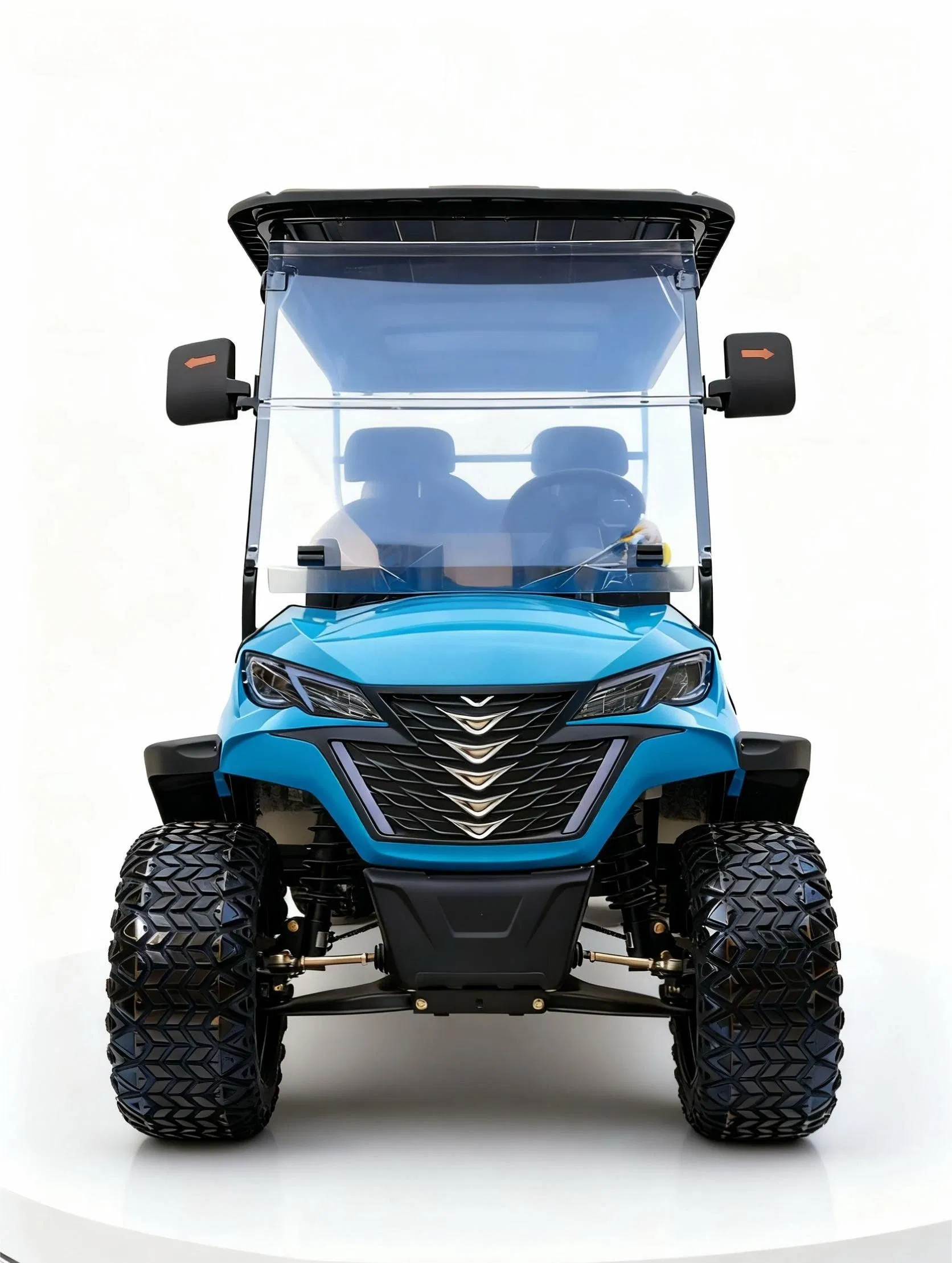 48V/60V/72V AC Motor Electric Golf Cart with Lithium/Lead Acid Battery