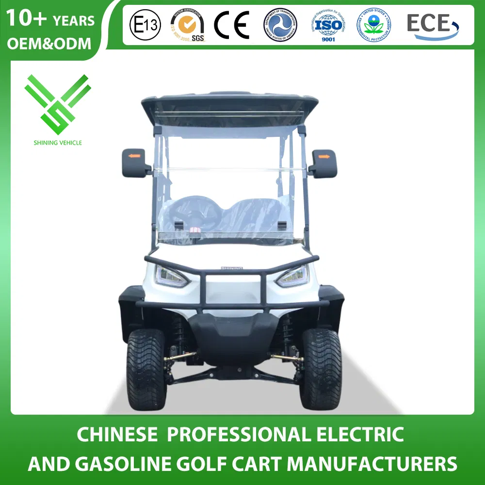 Shininglsv Brand Electric Luxury Lead Acid Battery 48V Legal Road Golf Cart