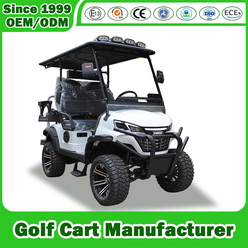 China Golf Cart Manfuacturer Electric Gasoline Gas Petrol Lifted Lithium/Lead Acid Battery Offroad 2/4/6/8 Seat/Seater/Passenger Hunting Lsv Sightseeing Cart CE