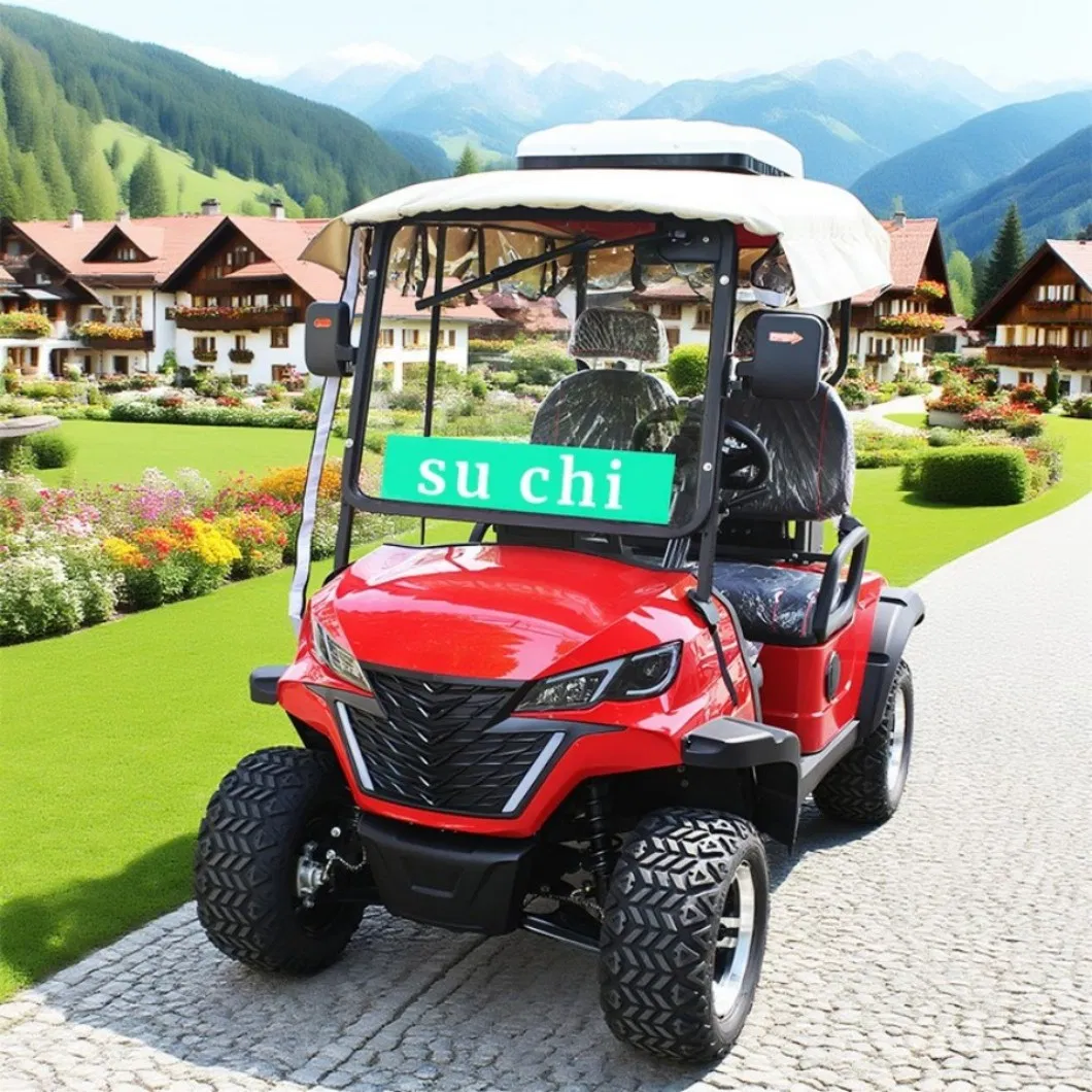 2 Seat Motorized Electric Utility Golf Cart with Long Cargo Box