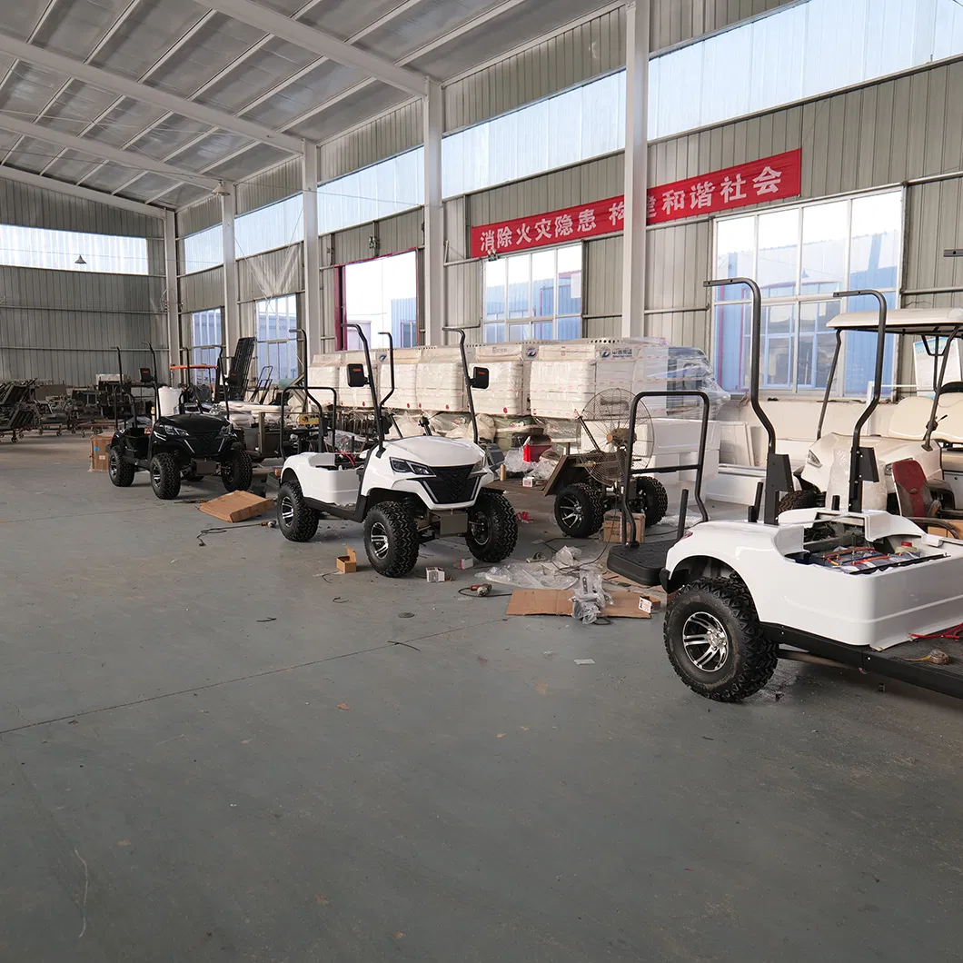 Custom Electric Golf Scooter Adjustable Two-Seater Modern Golf Cart