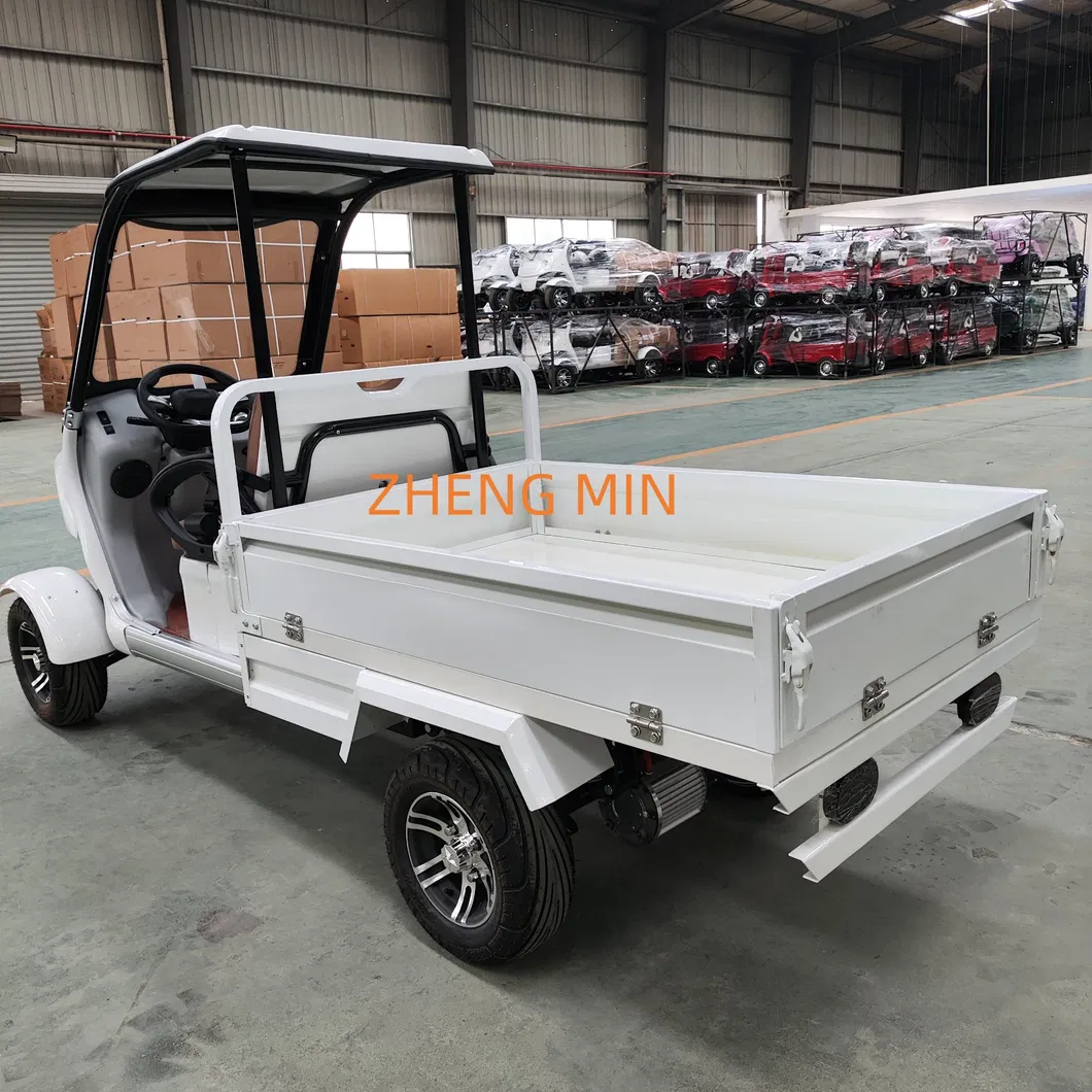 Electric Golf Cart Side