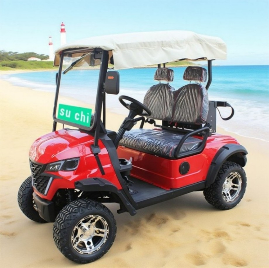 Golf Courses Dedicated 2-Seats Electric Golf Carts with 48V/60V/72V Batteries Providing Customization and OEM Processing Service