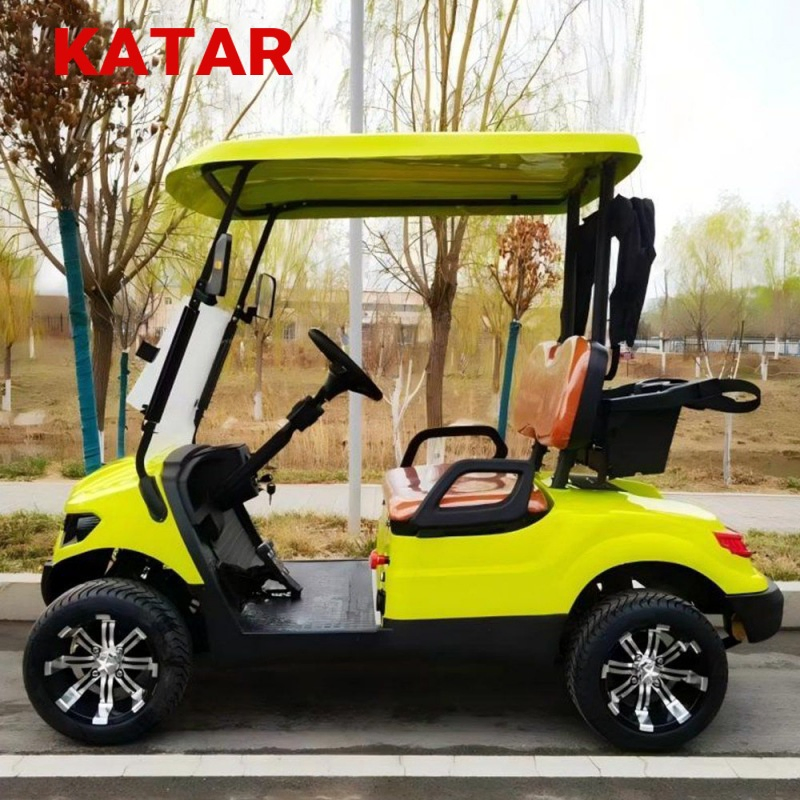 Lower Price 2 Seater Lifted Golf Carts Gas Powered Gasoline Golf Carts Support Customization