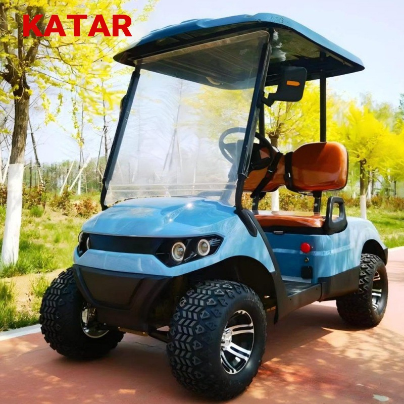 Lower Price 2 Seater Lifted Golf Carts Gas Powered Gasoline Golf Carts Support Customization