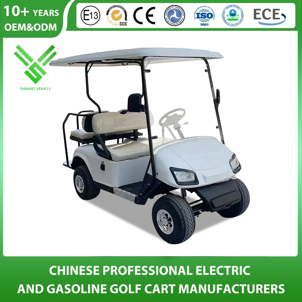 Curtis Controller 4 Seater Classic Electric Golf Cart with Cargo Box for Sale