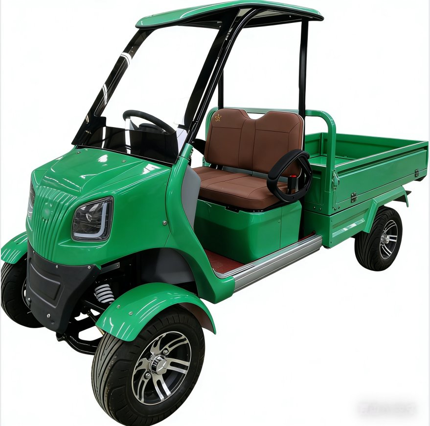 Wholesale CE Approved Adult Battery Operated 60V2500W Electric Golf Cart with Cargo Box