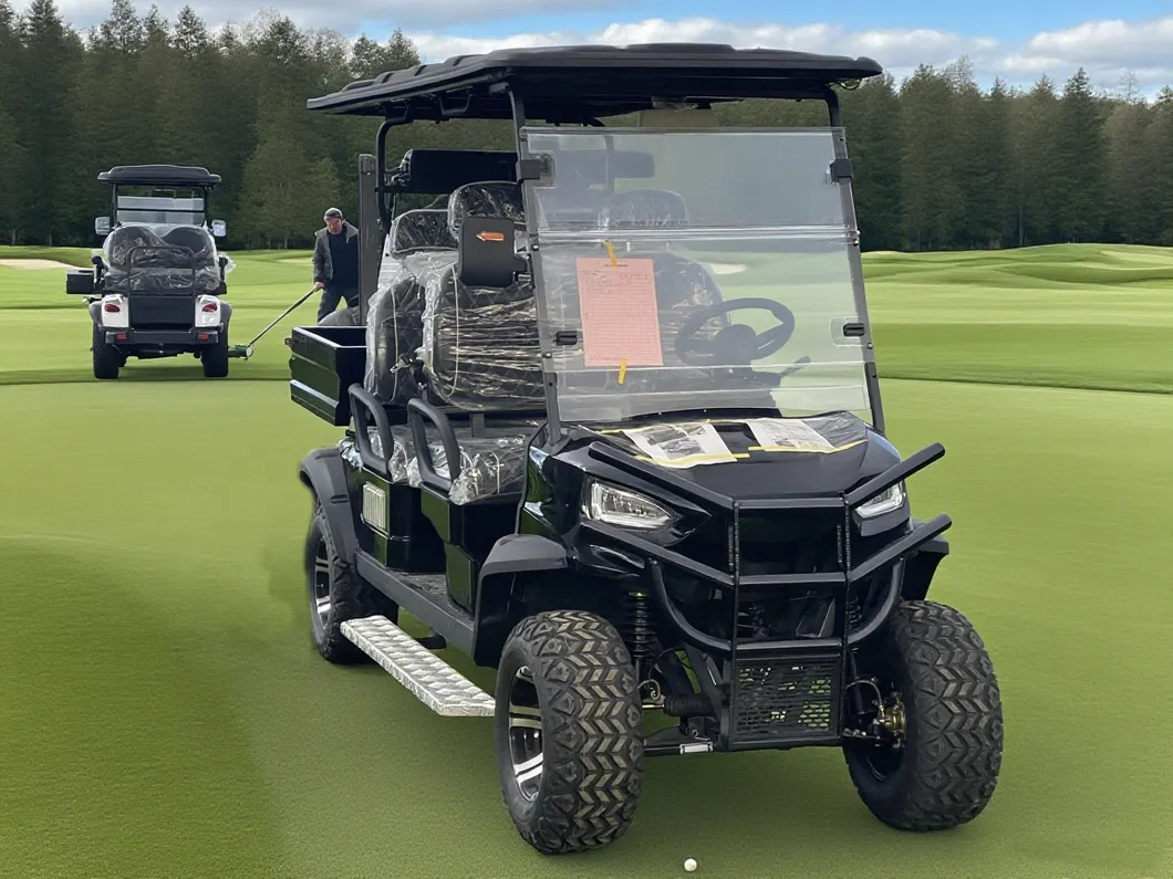 Gas Golf Cart View 2