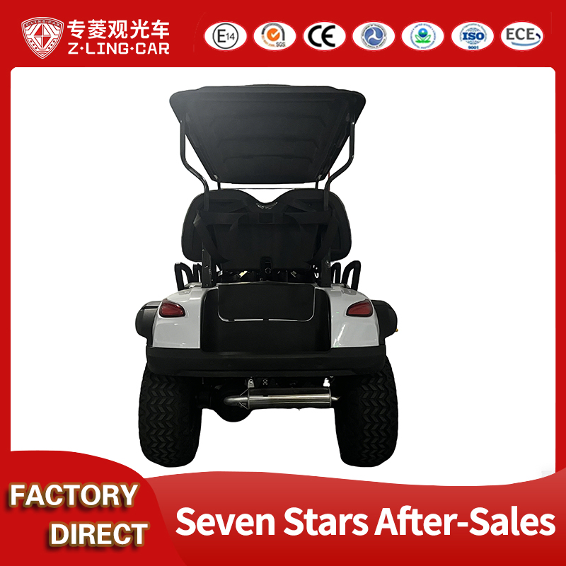 Premium Custom Golf Carts and Parts for Global Distribution