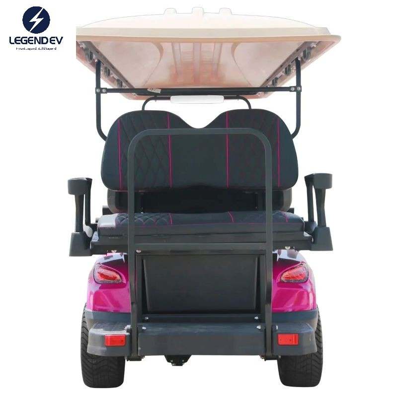 6+2 W/Rear Seat Folds Down 48V 5kw AC Motor Fast New Customize Electric Golf Cart Car
