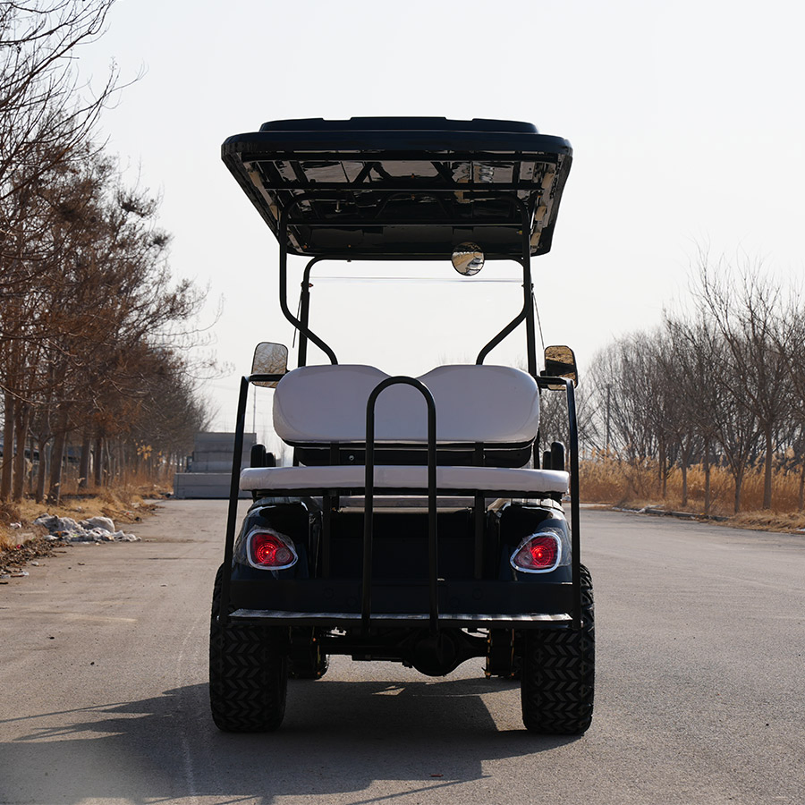 Good Price 6 Seat Electric Golf Cart with 6 Seats and Stable Golf Carts Gas Powered