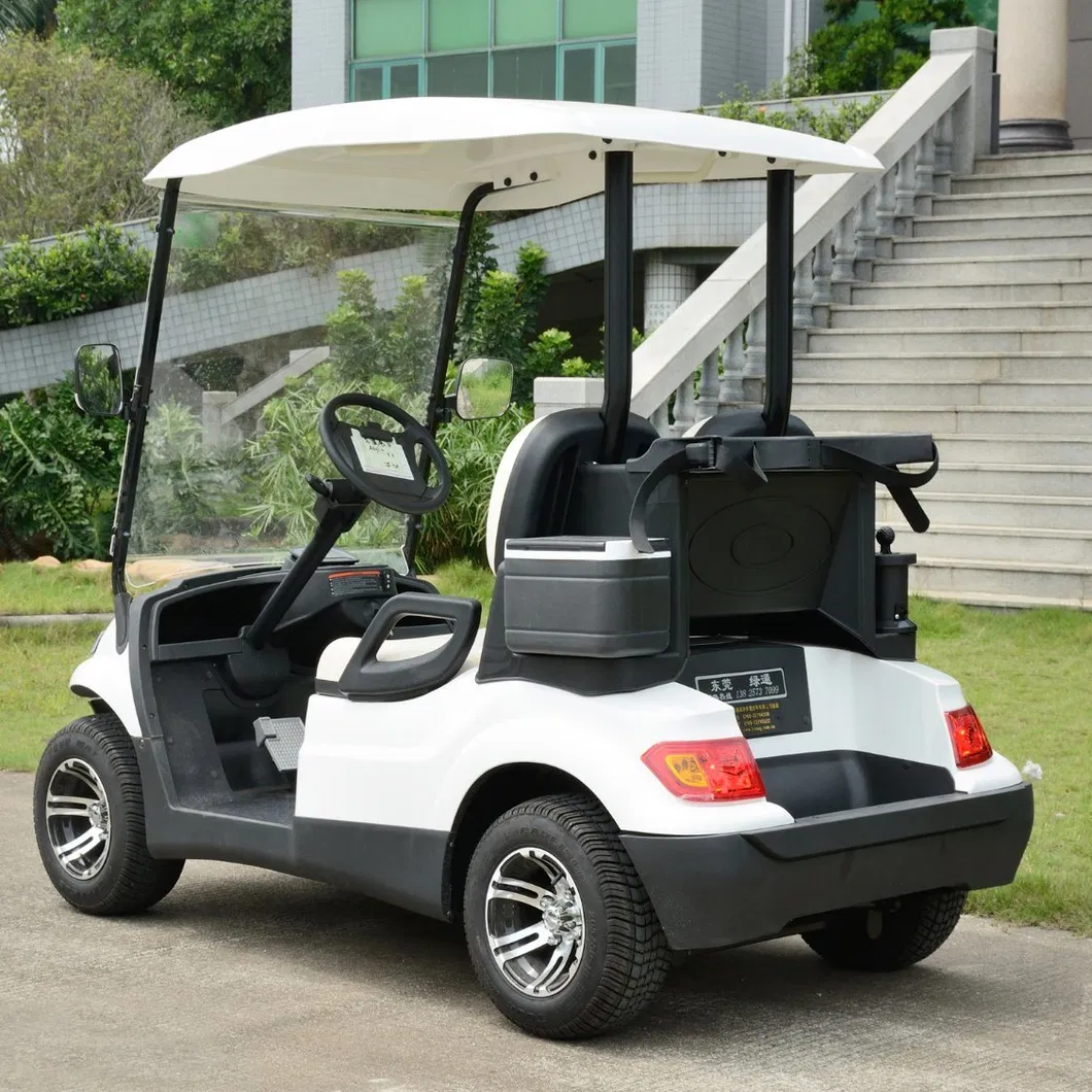 Electric Golf Cart Rear
