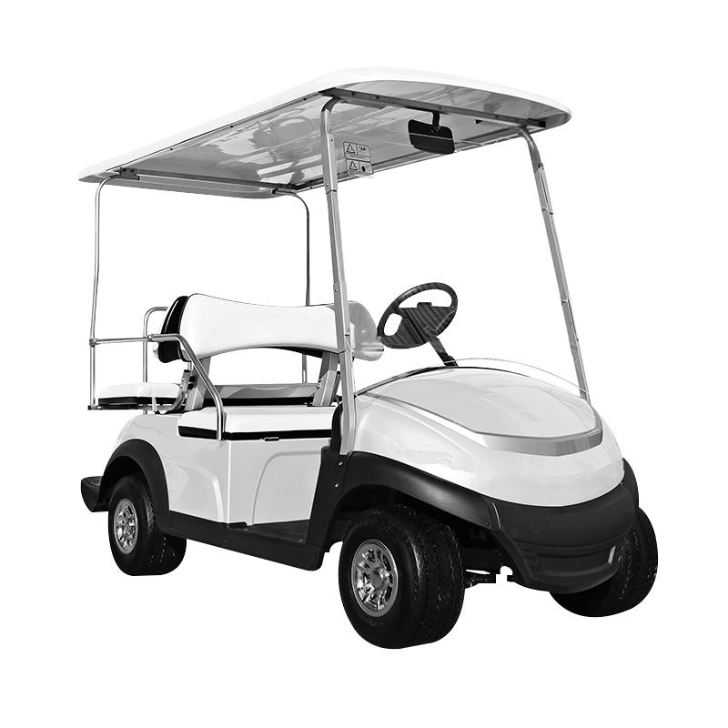 Electric Mini Golf Cart for Adults Fast &amp; Efficient with 48V Battery