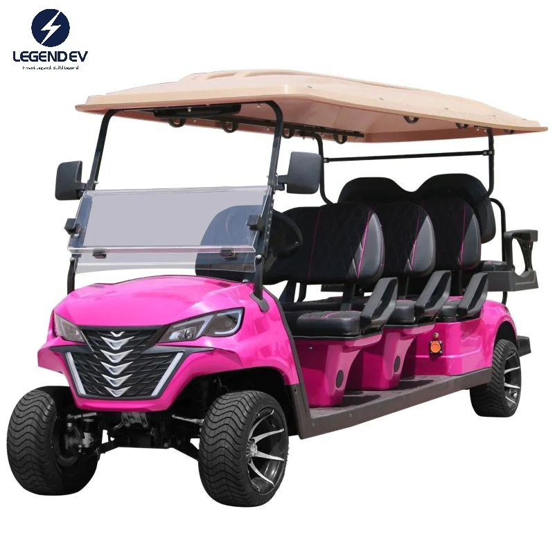 6+2 W/Rear Seat Folds Down 48V 5kw AC Motor Fast New Customize Electric Golf Cart Car