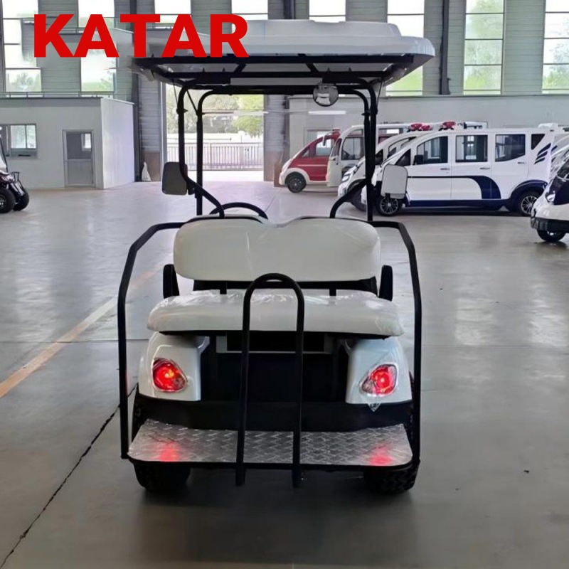 Resort Electric Golf Carts Passengers Classic Sightseeing Bus on Sale