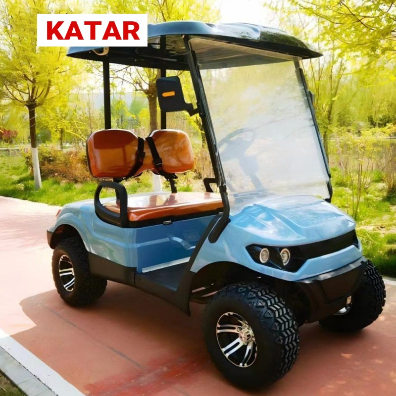 Lower Price 2 Seater Lifted Golf Carts Gas Powered Gasoline Golf Carts Support Customization