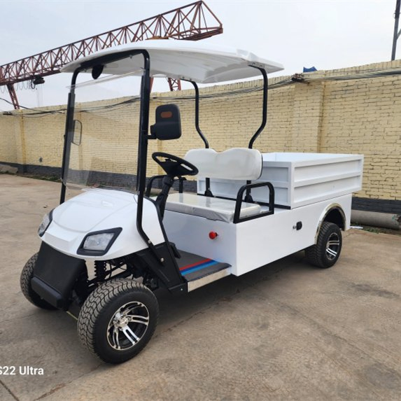2 Seater Utility Carts Pickup Truck Automatic Hydraulic Rod Golf Cart with Cargo Box Bed