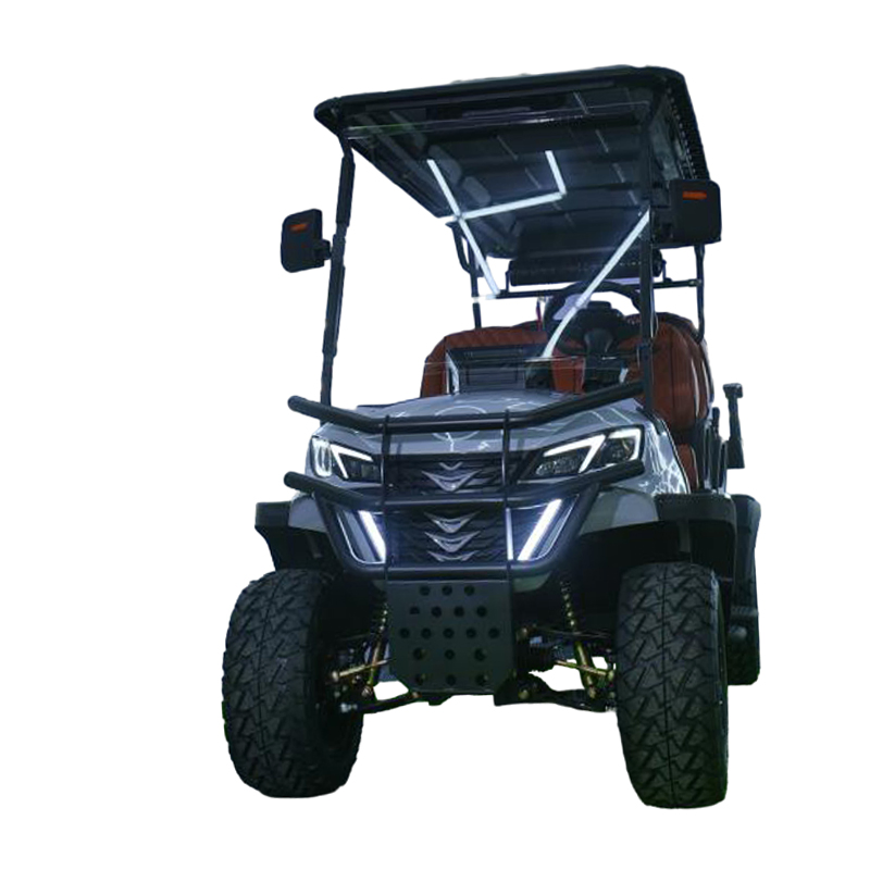 Factory Custom OEM ODM CE Approved Electric Golf Cart Lifted Lithium Battery 2 4 6 Seater Club Car Golf Carts