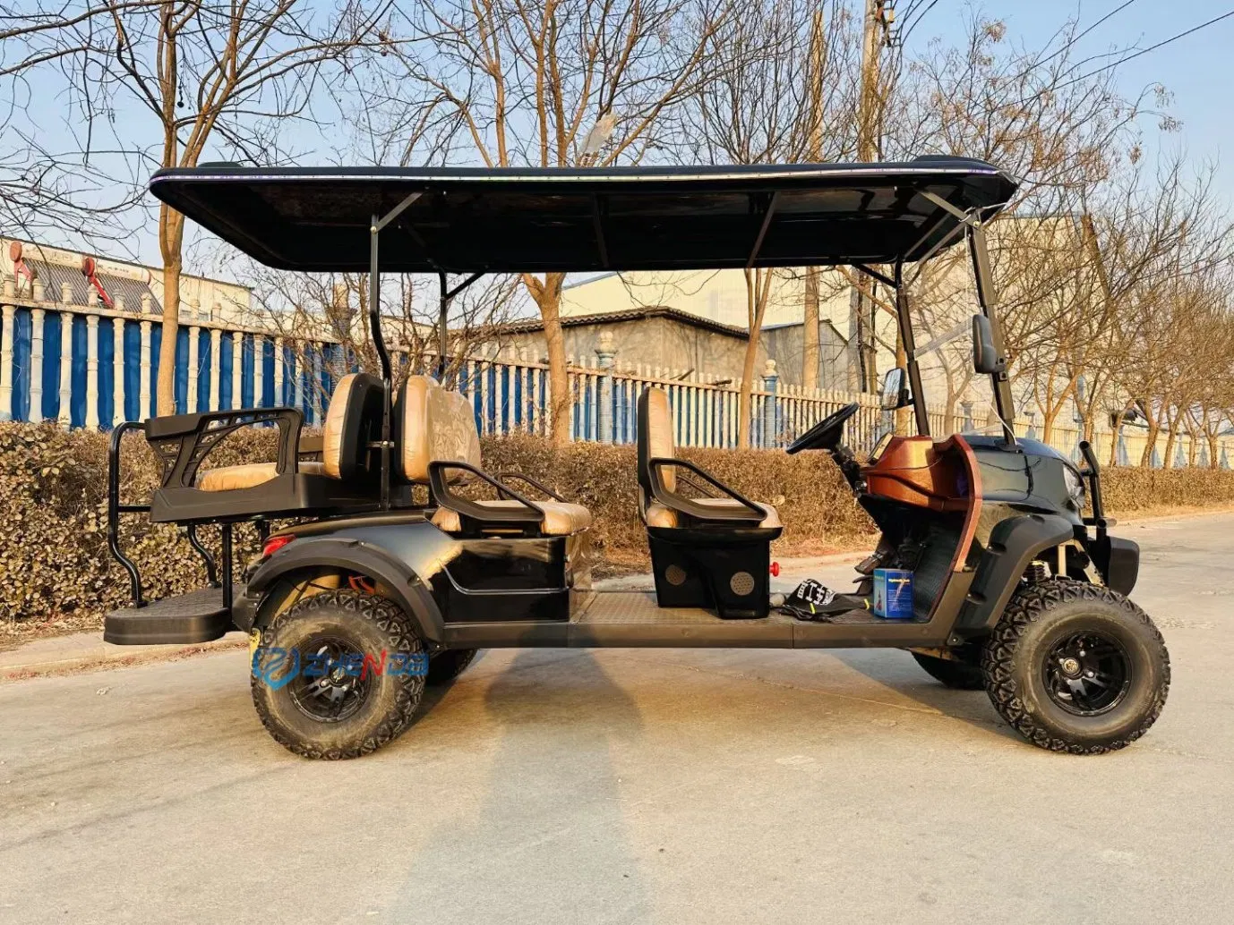 Famous Brands Steel Frame Resort Car Golf Electric Buggy Electric Long Range Golf Cart Club Cart Scooter