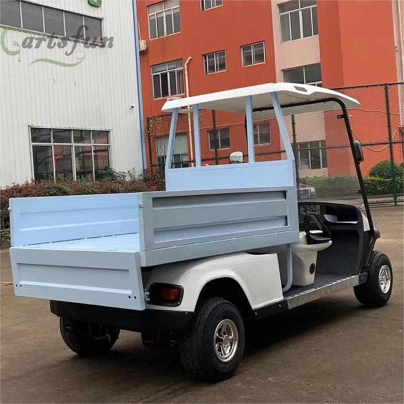 2 Seater Utility Carts Pickup Truck Automatic Hydraulic Rod Golf Cart with Cargo Box Bed