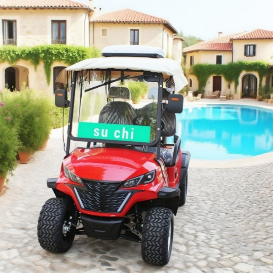Golf Courses Dedicated 2-Seats Electric Golf Carts with 48V/60V/72V Batteries Providing Customization and OEM Processing Service