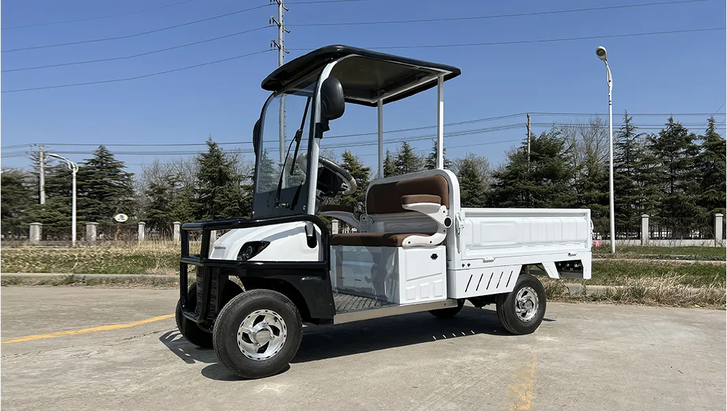 Electric Golf Cart View 1