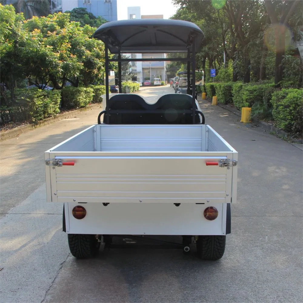 Electric Utility Cart with Fixed Cargo Box 48V Motor 2 Seater Golf Cart Mini Truck