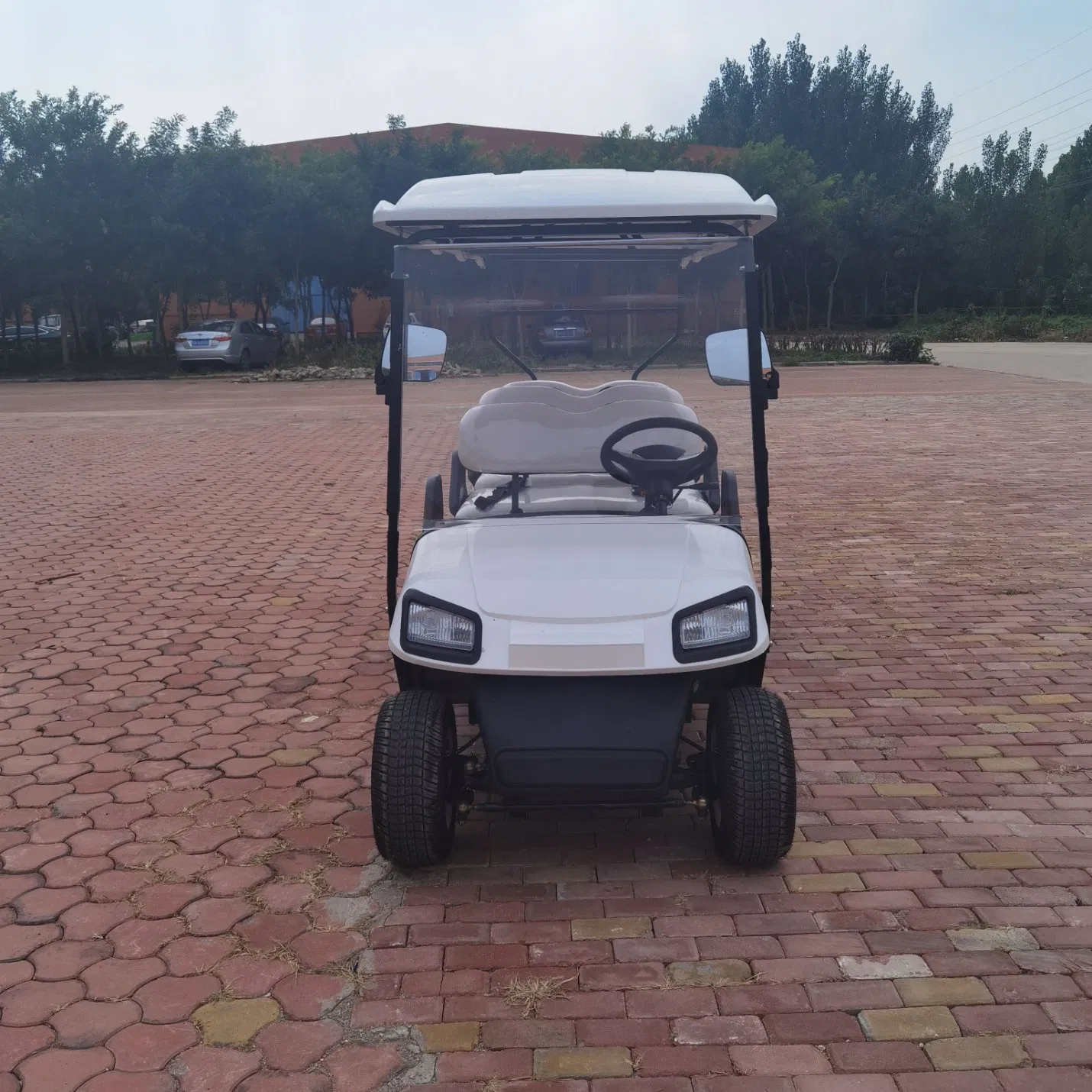 All Terrain Golf Cart 4 Seat Sightseeing Vehicle for Beach Resort Campground and Large Estate Range Golf Cart