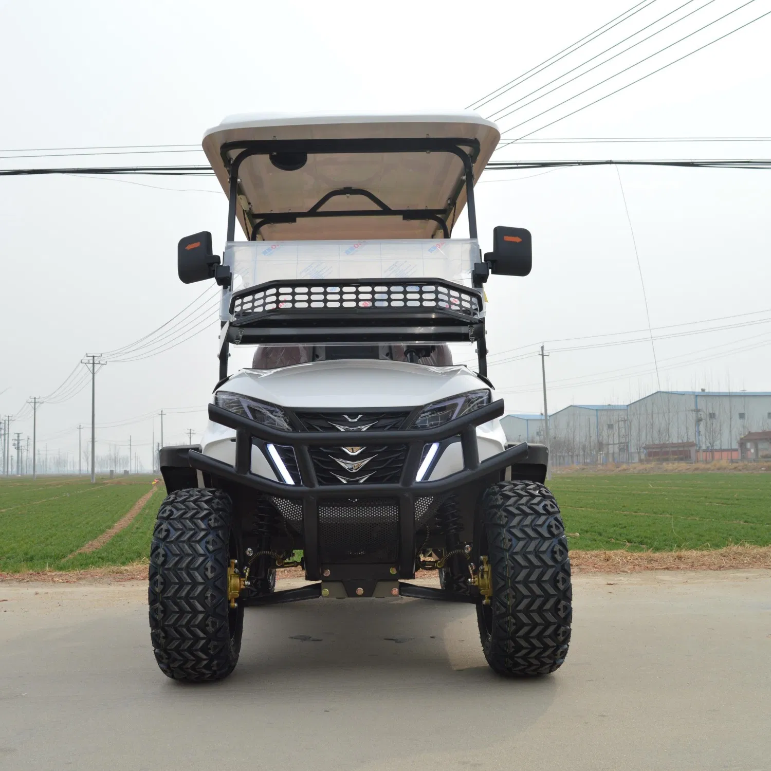 4 Seater New Golf Cart Electric Club Car with Cargo Box