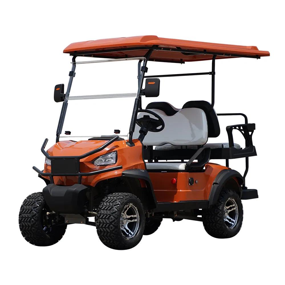 6 Seater Electric or Gas Golf Cart Wholesale Luxury Golf Carts for Sale
