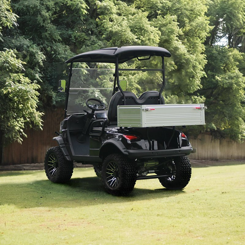 Electric Sightseeing Bus 2 4 6 8 10 Seater Battery Operated Golf Cart with Cargo Box